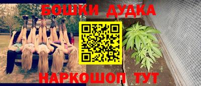 индика Краснознаменск